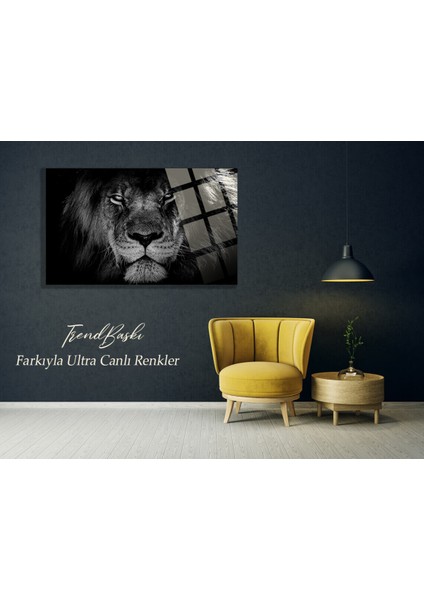 Aslan Kral 4mm Kırılmaz Temperli Yüksek Çözünürlüklü Cam Tablo fiyatları