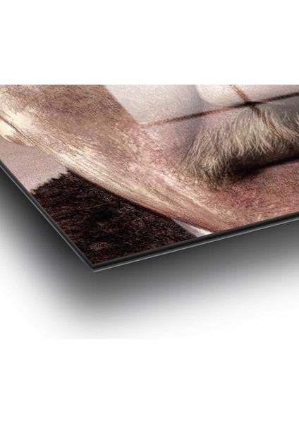 Mustafa Kemal Atatürk Portresi Cam Tablo, Ev, Ofis ve Okul Duvar Dekoru, Hediyelik, Büyük Tablo modelleri