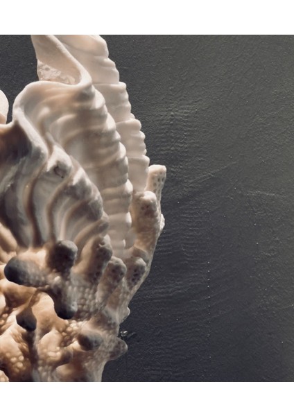 Dekoratif Mercan Formlu Deniz Kabuğu Biblo – 30X22 cm Polyester modelleri