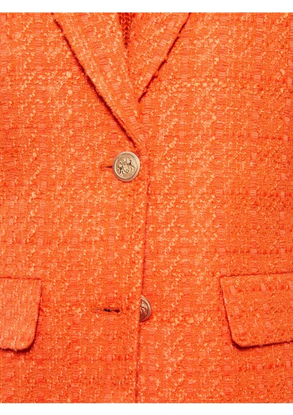 Yeni Sezon Kendinden Desenli Uzun Kollu Kadın Ceket fırsatları