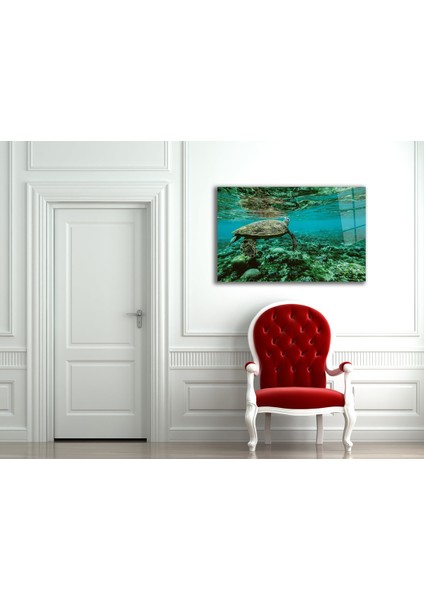 Deniz Kaplumbağası Cam Tablo fiyatları