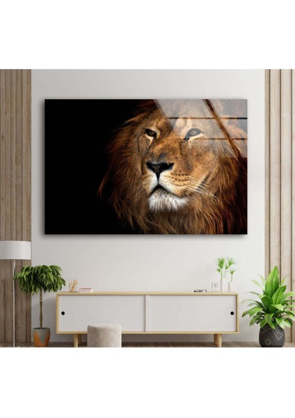 Aslan Temperli Cam Duvar Tablosu