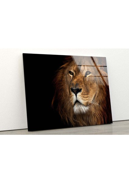 Aslan Temperli Cam Duvar Tablosu fiyatları