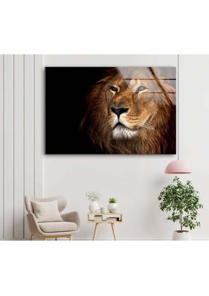 Aslan Temperli Cam Duvar Tablosu modelleri