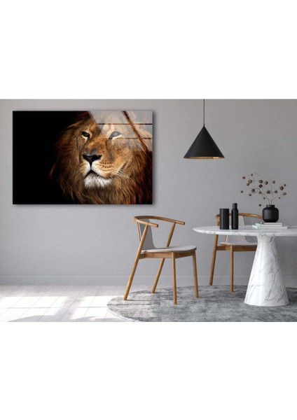 Aslan Temperli Cam Duvar Tablosu fırsatları