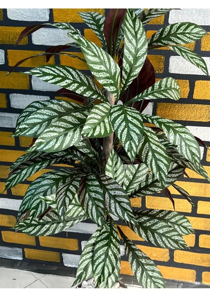 Yapay Kılıç Yaprağı Ağaç Lux Metal Saksı Dahıl