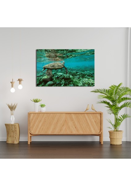 Deniz Kaplumbağası Cam Tablo
