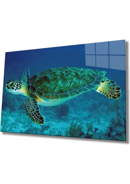 Nw Özel Deniz Kaplumbağası Cam Tablo Sea Turtle