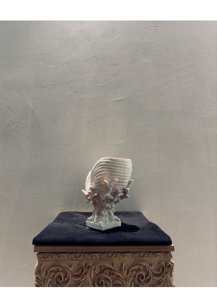 Dekoratif Spiral Deniz Kabuğu Biblo – 30X25 cm Ev & Ofis Dekorasyonu