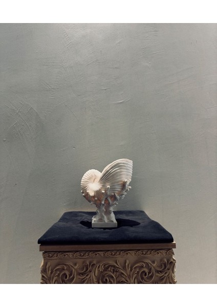 Dekoratif Spiral Deniz Kabuğu Biblo – 30X25 cm Ev & Ofis Dekorasyonu fiyatları