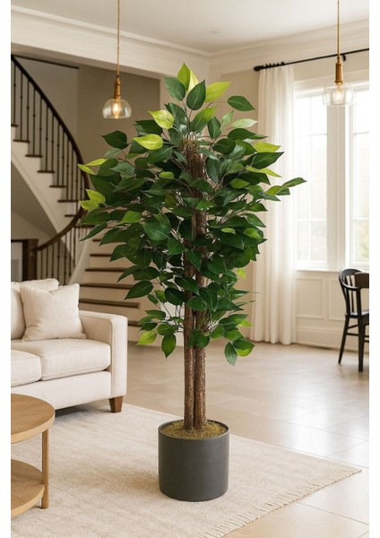 Yapay 100 cm Benjamin Ağacı Lux Metal Saksı Dahıl