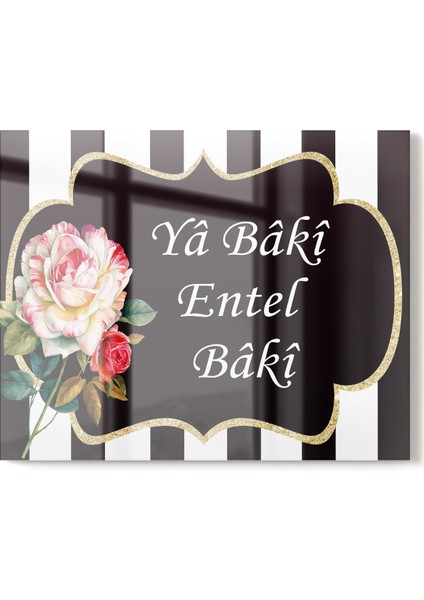 Premium Mutfak Cam Ocak Arkası Koruyucu Tezgah Ankastre Arkası Koruyucu 50X76CM | Ya Entel Ya Baki fiyatları