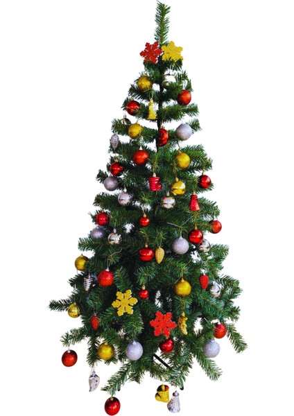 Yılbaşı Çam Ağacı 150 cm 240 Dal