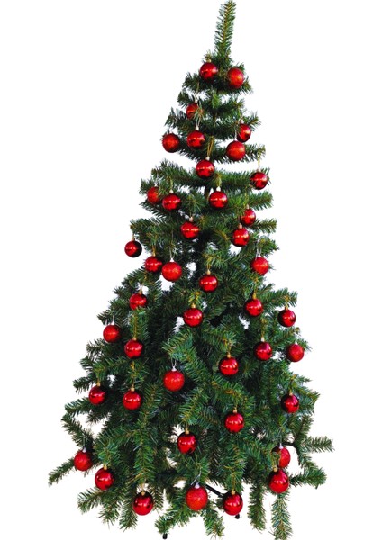 Yılbaşı Çam Ağacı 180 cm 360 Dal