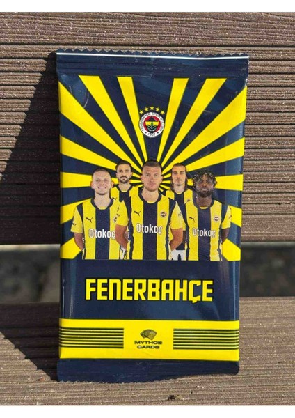 Fenerbahçe Futbol Kartı