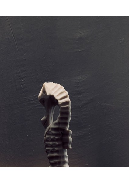 Dekoratif Denizatı Biblo – 26X7 cm Polyester Ev & Ofis Dekorasyonu modelleri