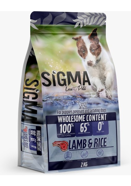 2kg Yavru Köpek Maması - Puppy Dry Food