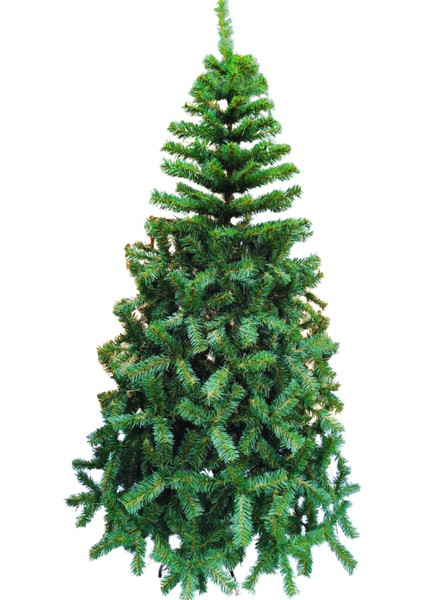 Yılbaşı Çam Ağacı 210 cm 720 Dal