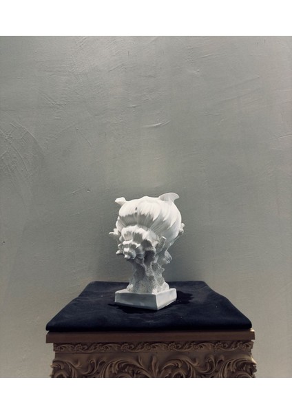 Dekoratif Deniz Kabuğu Vazo – 30X25 cm Polyester Sanatsal fiyatları