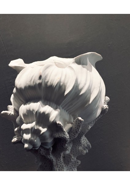 Dekoratif Deniz Kabuğu Vazo – 30X25 cm Polyester Sanatsal modelleri