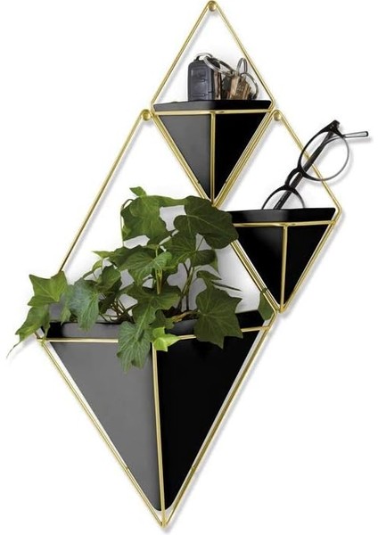 Trigg Duvar Vazosu ve Geometrik Dekoasyon, Oda Bitkileri, Sukulentler, Hava Bitkileri, Kaktüs, Yapay Bitkiler ve Daha Fazlası Için Saksı, Siyah/pirinç, 2'li Set, Küçük fırsatları