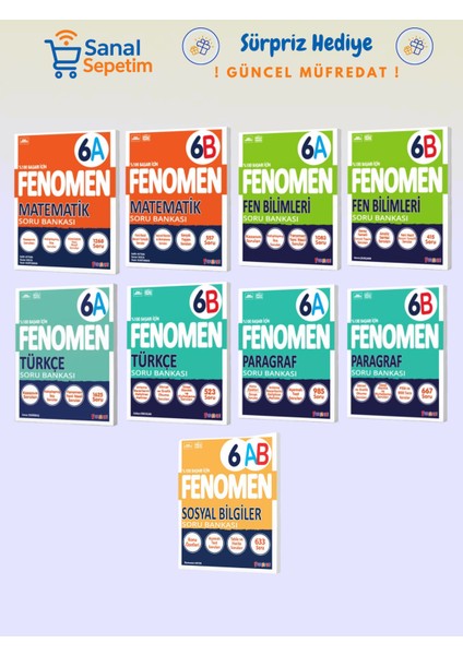6. Sınıf Matematik + Fen Bilimleri + Türkçe + Paragraf + Sosyal B. (A ve B Set) Soru Bankaları