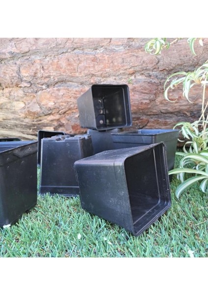 Kare Saksı 0,23 Lt 7x7,5 cm 60 Adet Üretim Saksısı Siyah Saksı Kare Üretim Saksı Plastik Saksı modelleri