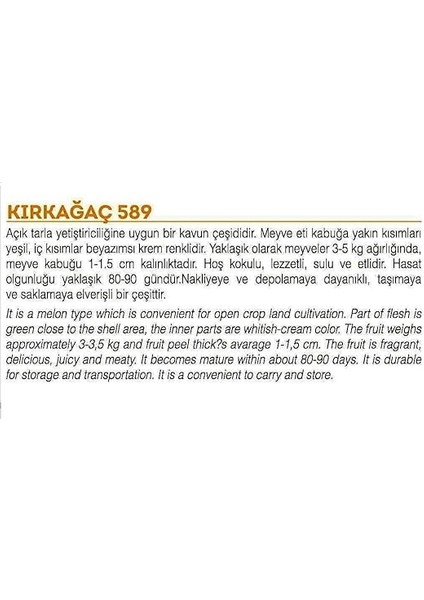 Tarım Ata Tohumu Yerli Doğal Kavun KIRKAĞAÇ-589 Tip 100 Adet Tohum fiyatları