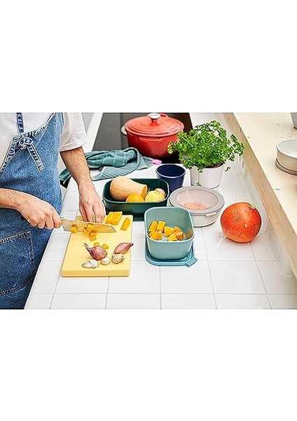 - Multi Bowl Cirqula Rectangular - Kapaklı Saklama Kabı - Buzdolabı Için Hava Geçirmez Saklama Kutusu ve Mikrodalga Fırın Kabı Olarak Uygundur - 500 ml - Nordic Sage fiyatları