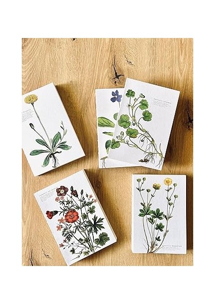 Tanıtım Özel Tasarım Kapaklı A5 Çizgisiz Not Defteri - 180 Derece Açılabilir, Sırtı DIKIŞLI,%100 El Işçiliği, Ofis Için Ideal, Planlayıcı (Cranesbill And Geranium Kapak Tasarımı) fiyatları