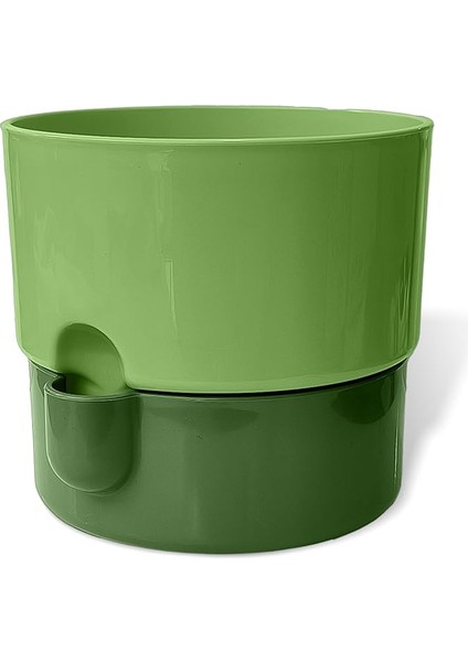 Dora Saksı Tabaklı Çiçek Kaktüs Saksısı Parlak Plastik Saksı (Yeşil, 2 Litre)