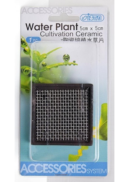 Bitki Taban Seramik 5 cm Kare