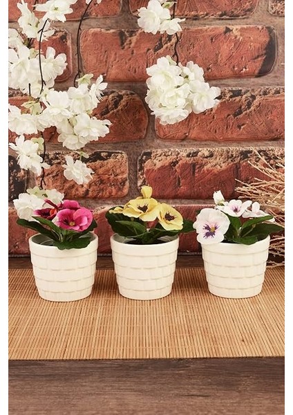 Kaktüs Seramik Saksı 3'lü Krem modelleri