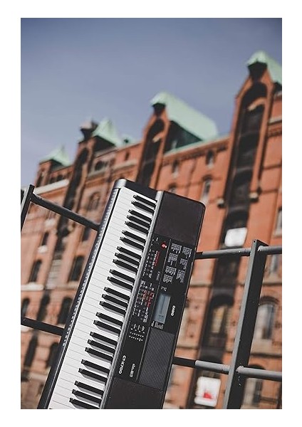 CT-X700 61 Tuşlu Org, Dokunuş Tepkili 61 Tuş, 48 Polifoni fiyatları
