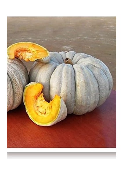 Tarım Ata Tohumu Yerli Balkabağı 10 Adet Tohum