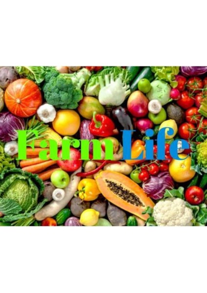 Look 5 Adet 5 Renk Sarmaşık Tohumu TH-SARMAŞIK12 fiyatları