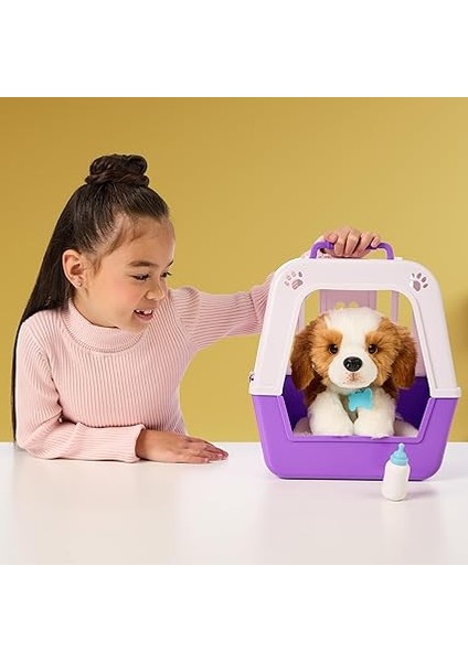 Sevimli Köpeğim fiyatları