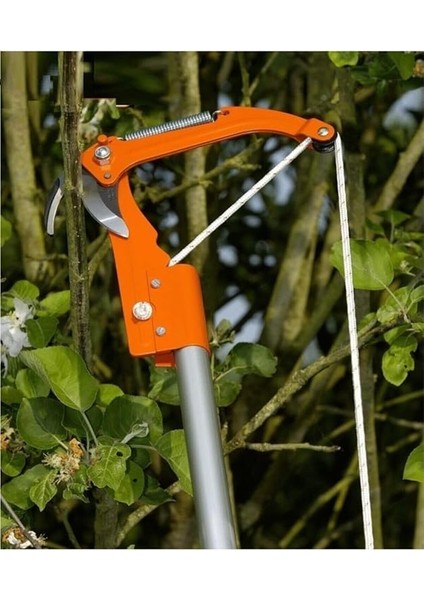 Yüksek Agaç Tepe Dal Ağaç Kesme Budama Makası Manivela Sistemli Tepe Dal Kesme Makası Ipli fiyatları