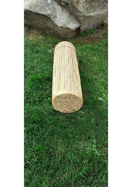 1MX3M Hasır Kamış Çit