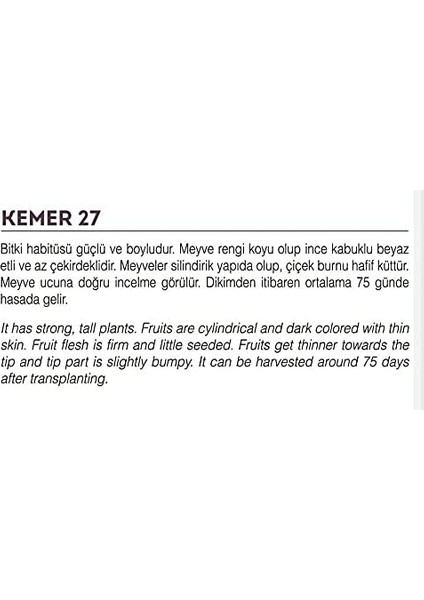 Tarım Ata Tohumu Yöresel Kemer Patlıcan Tohumu 100 Adet Tohum fiyatları