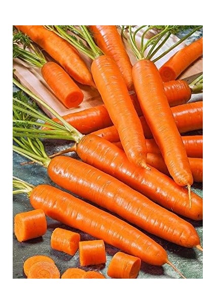 Garden Doğal Şirin Havuç Nantes 1000 Ad. Tohum