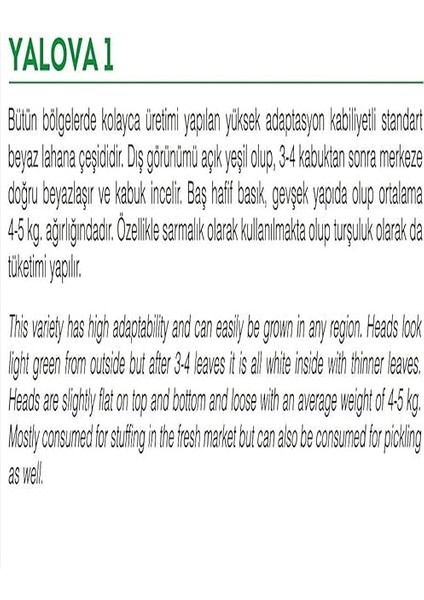 Tarım Ata Tohumu Yerli Yalova Lahanası 1000 Adet Tohum fiyatları