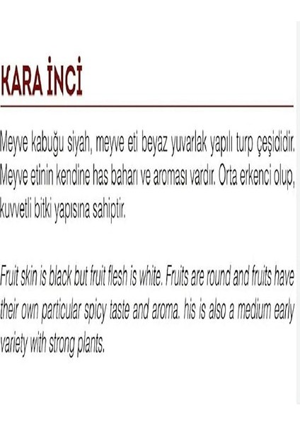 Tarım Yerli Doğal Siyah Turp Tohumu 500 Adet Tohum fiyatları