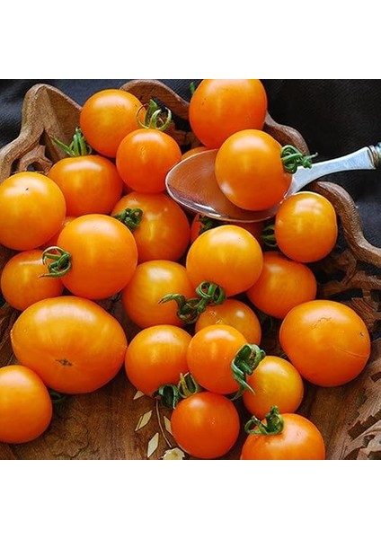 Adet Sun Gold Cherry Domates Tohumu fırsatları