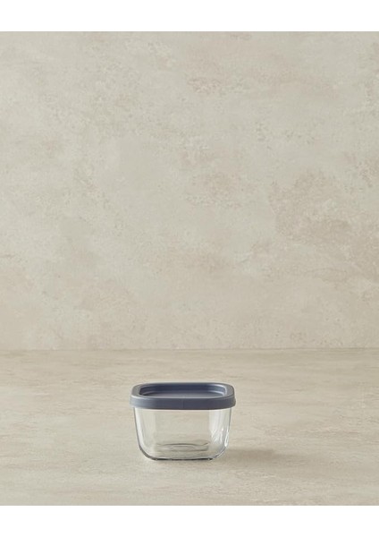Home Fresh Safe Cam Saklama Kabı, 270 Ml, Gri
