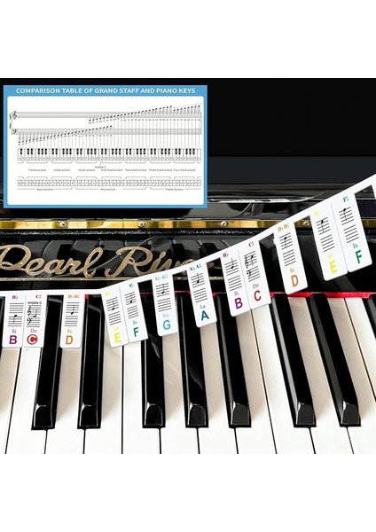 Müzik Teorisi Poster Seti, Piyano Klavyesi ve Nota Sistemi Kılavuzu ve Piyano Klavyesi Notaları Için Renkli Etiketler (Labels And Theory Poster)