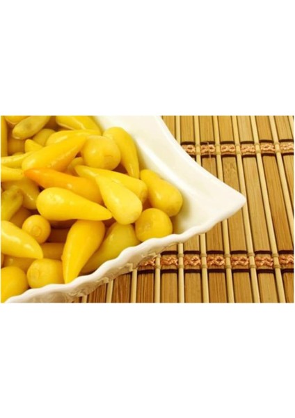 Turşuluk Fındık Biber Tohumu 50 Adet Tohum Biberiye fiyatları