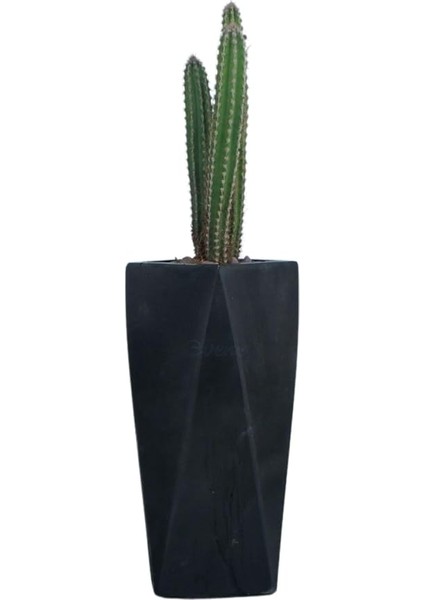 Çiçek Saksısı Uzun Beton Saksı Model 1, Siyah