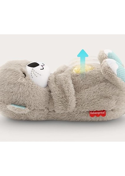 Uyku ve Oyun Arkadaşı Su Samuru Fisher-Price Uyku ve Oyun Arkadaşı Su Samuru, Müzikli Pelüş Bebek Oyuncağı FXC66 FXC66 modelleri