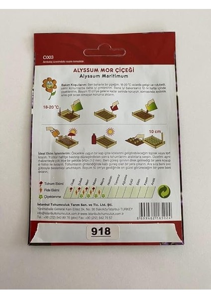 Alyssum (Çoklu Tohum) - 250 Tohum - Mor Renk fırsatları